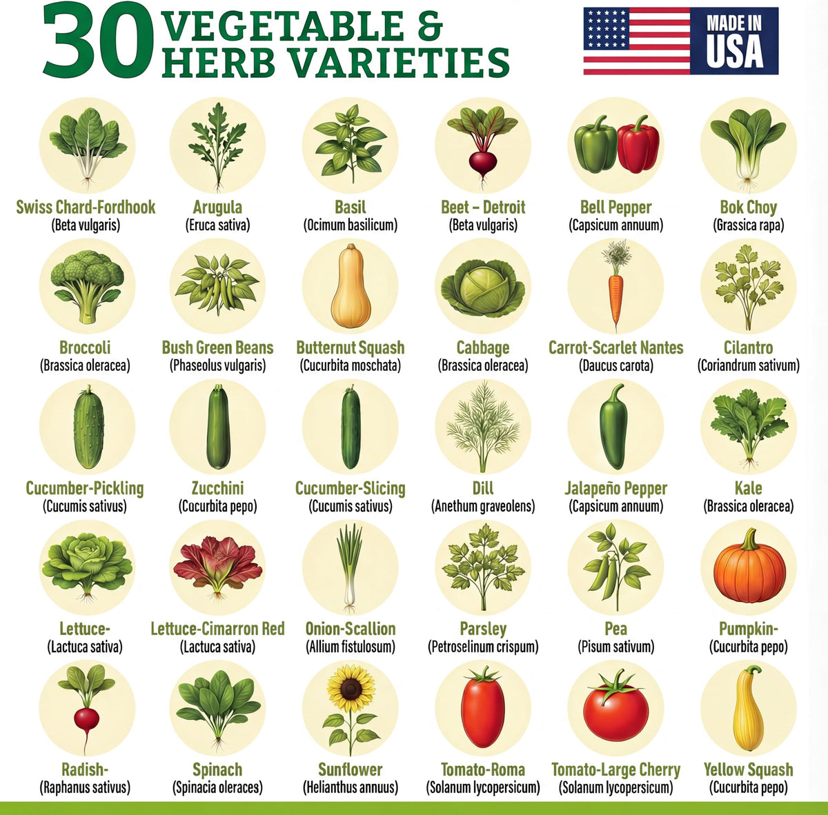 Vimtoba simple growing guide for seed-to-harvest beginners.