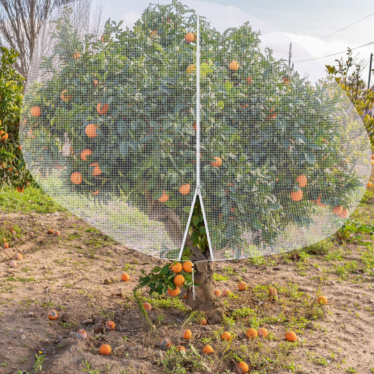 Vincreem durable garden mesh designed for seasonal use and reliability.