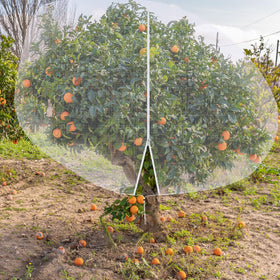 Vincreem durable garden mesh designed for seasonal use and reliability.