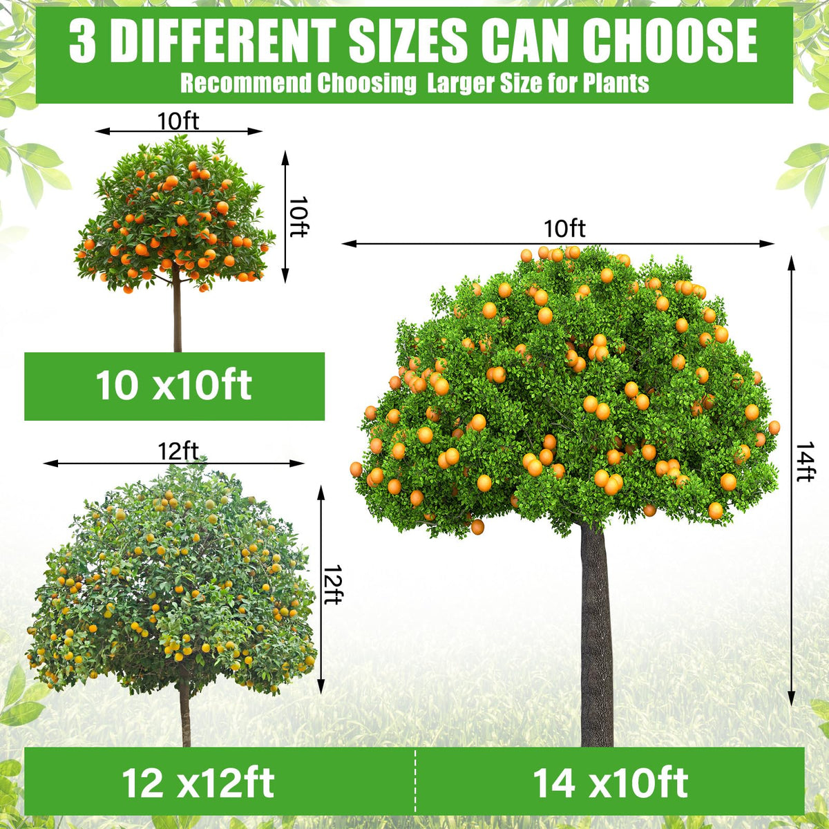 Vincreem easy-harvest netting enabling quick fruit access while maintaining protection.