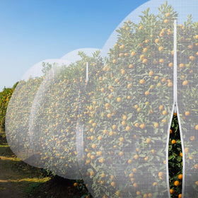 Vincreem wide-applications garden net fits various plants.
