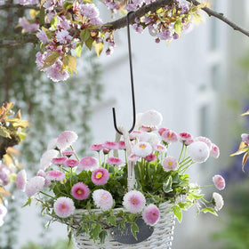 Vindar S hook organizing garden tools for easy storage.