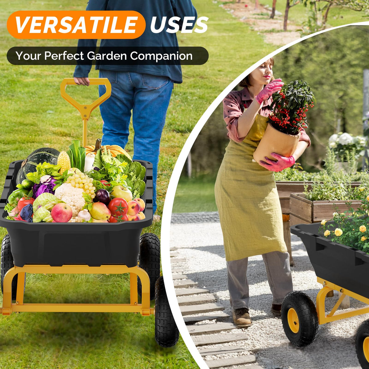 VINGLI cart on beach and grass demonstrates all-terrain versatility.