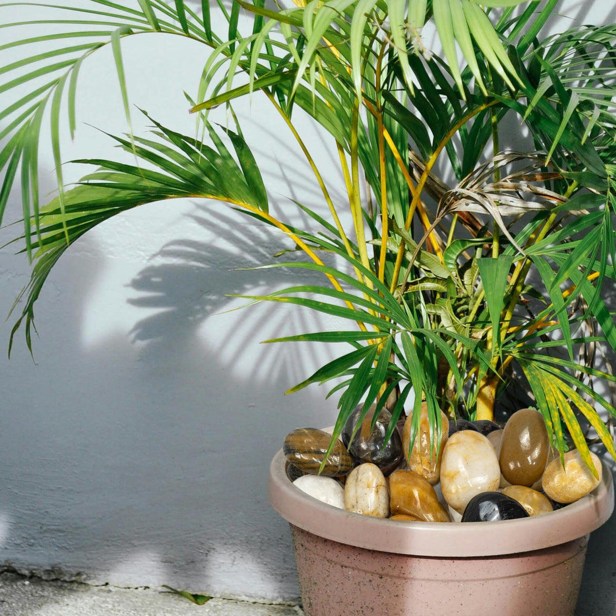 VINICS planters with pebble color and texture enhancement