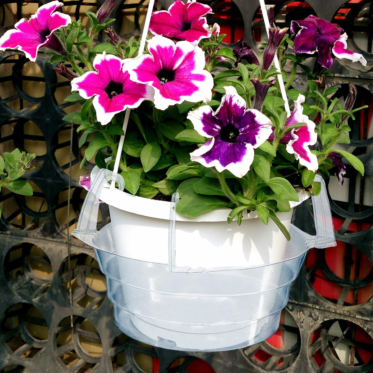 VIOBEPASS basket tray in daily use for easy maintenance