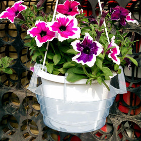 VIOBEPASS basket tray in daily use for easy maintenance