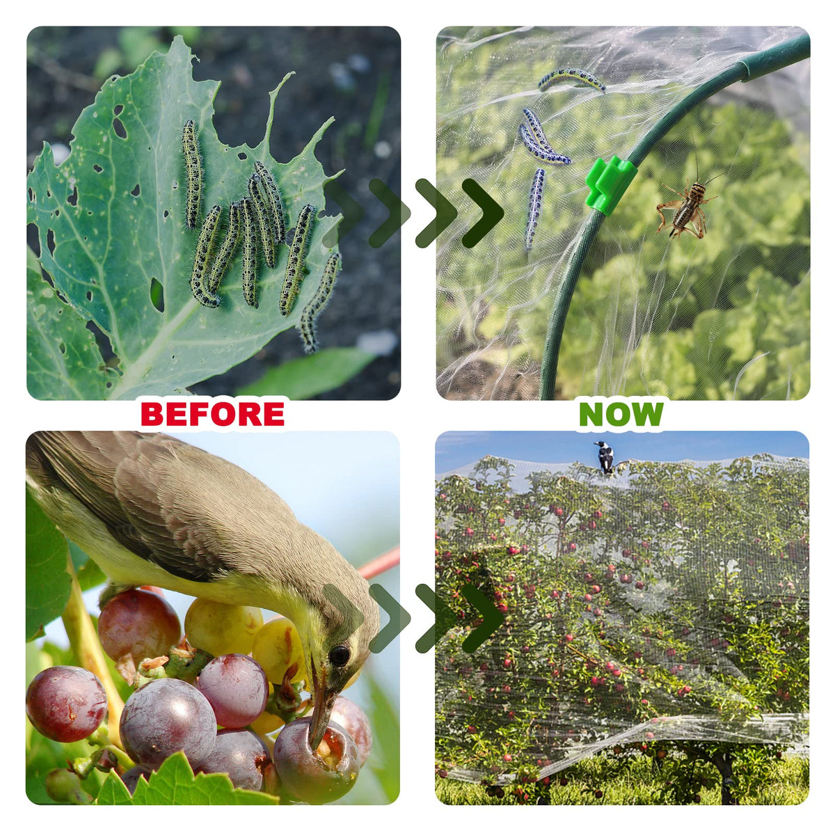 VIOBEPASS easy installation with adjustable size fits raised beds.