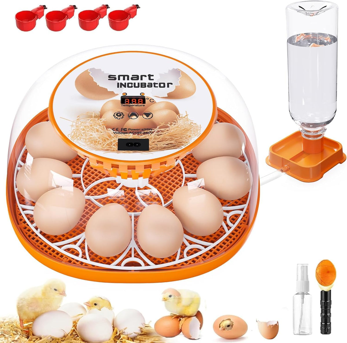 Viowey 12-egg incubator 360-degree lid for easy monitoring of developing eggs.