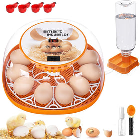 Viowey 12-egg incubator 360-degree lid for easy monitoring of developing eggs.