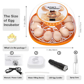 Viowey transparent ABS body combines durability with easy viewing during incubation.
