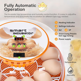 Viowey automatic turning feature keeps eggs gently repositioned for better hatchability.