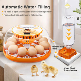 Viowey LED display shows temperature for precise incubator control during incubation.