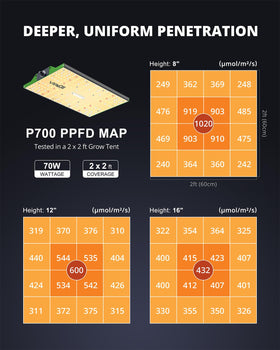 VIPARSPECTRA P700 full spectrum diodes emulate sunlight for balanced growth.
