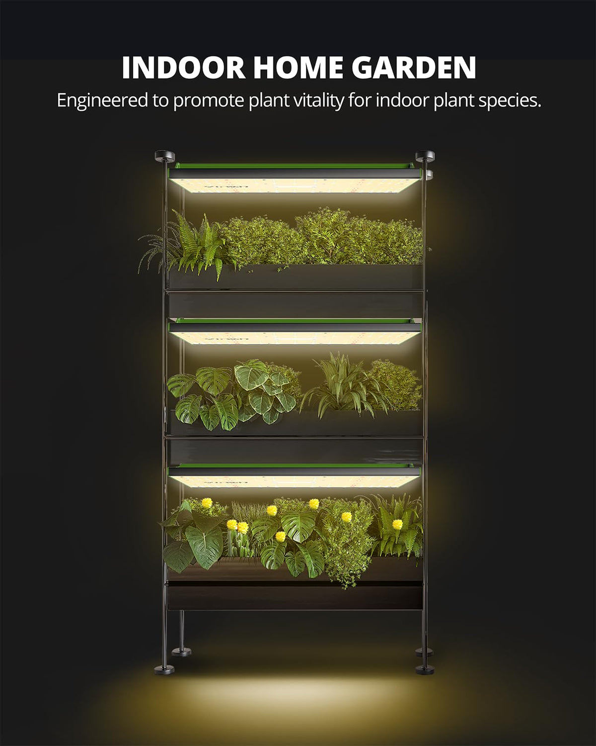 VIPARSPECTRA P700 package includes essential setup components.