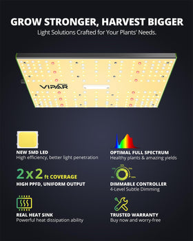 VIPARSPECTRA P700 supports vegetative growth with steady photons.