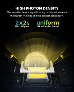 XS1500 Pro dimming daisy chain enabling synchronized lighting setups.