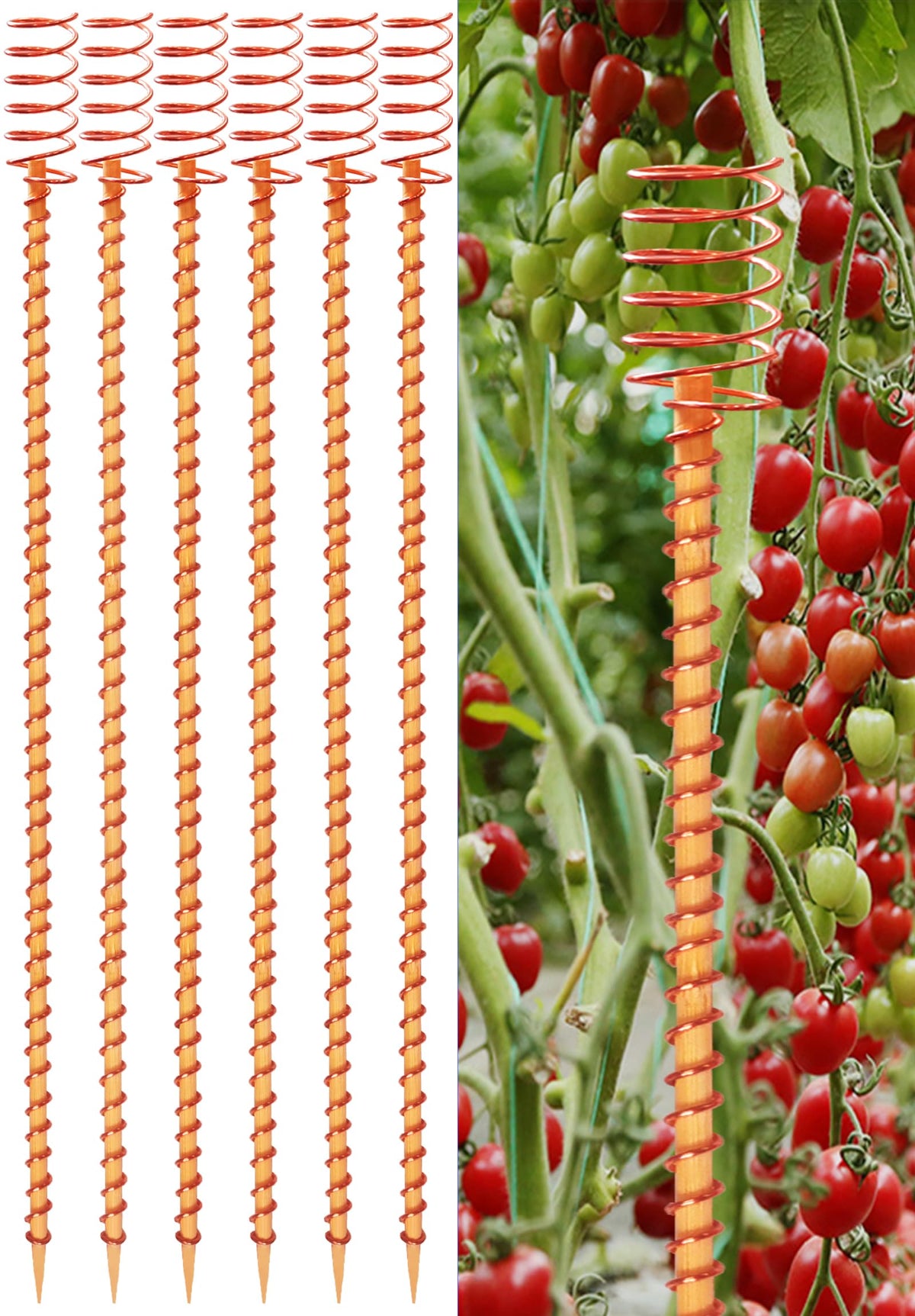 VIPMORE 6-pack Copper Garden Stakes in use support sturdy plant attachment and growth potential.