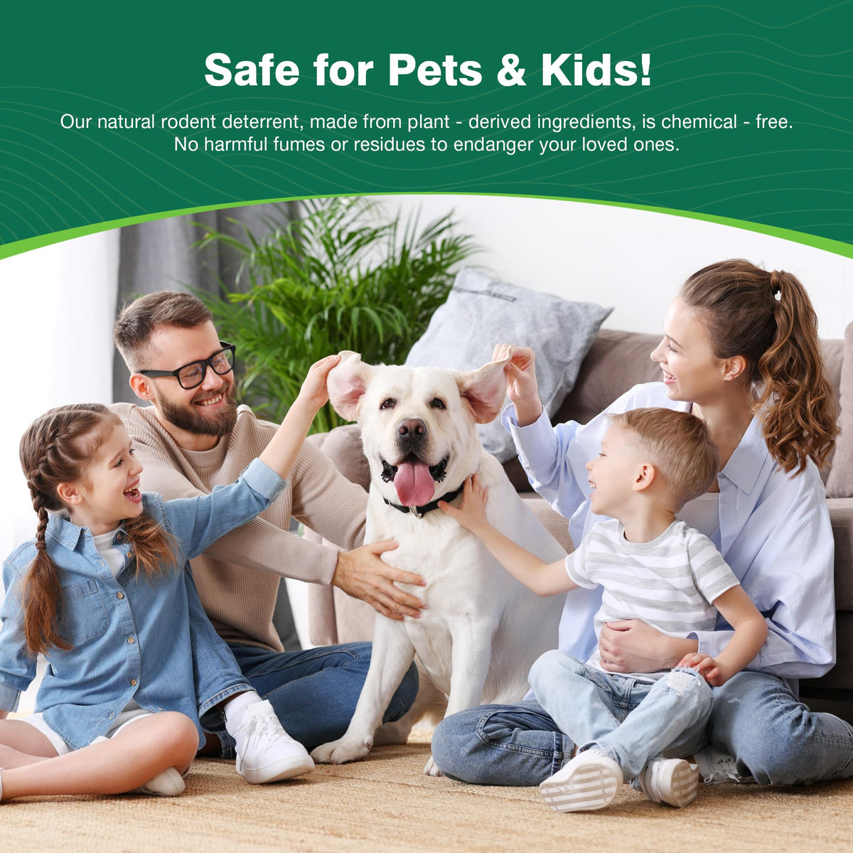 Vipoem 24-pack offers long-lasting, simple setup for pest control