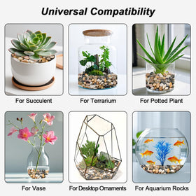 Virekm succulent planter accents using smooth stones for stylish interiors