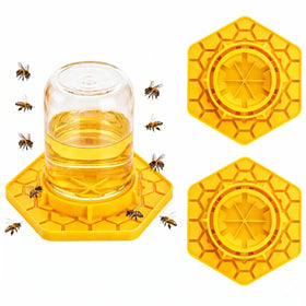 VisidgeB2C bee watering station with honeycomb tray attracts pollinators outdoors