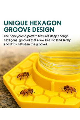 VisidgeB2C bee watering station fits regular and wide-mouth jars