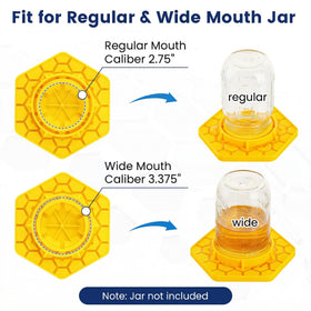 Bright color on VisidgeB2C feeder attracts honey bees to water