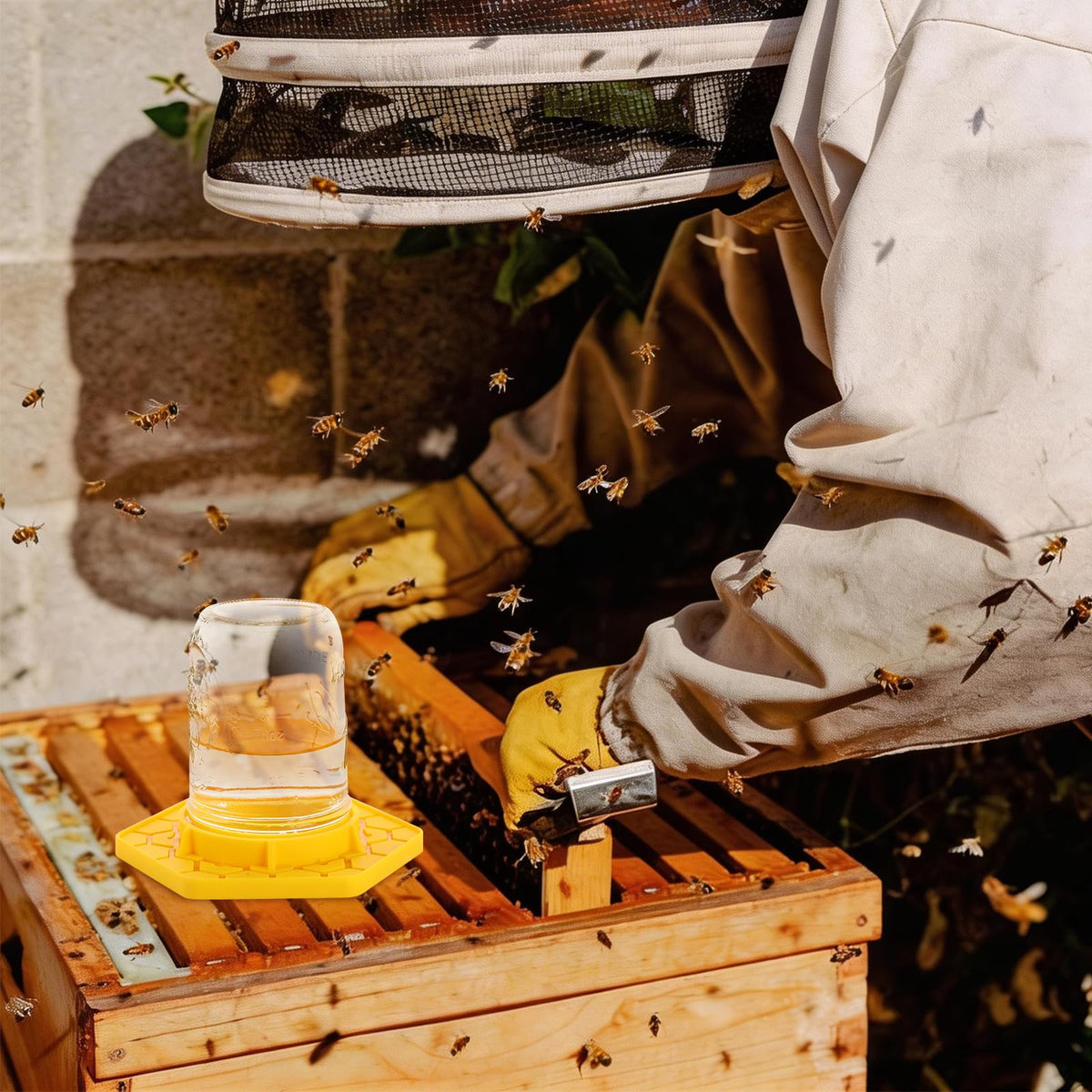 Easy-clean VisidgeB2C bee feeder for garden use