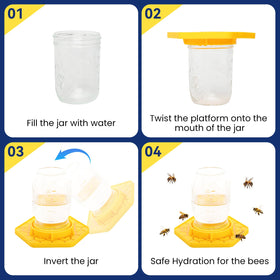 Two-pack VisidgeB2C bee feeders enable multiple stations