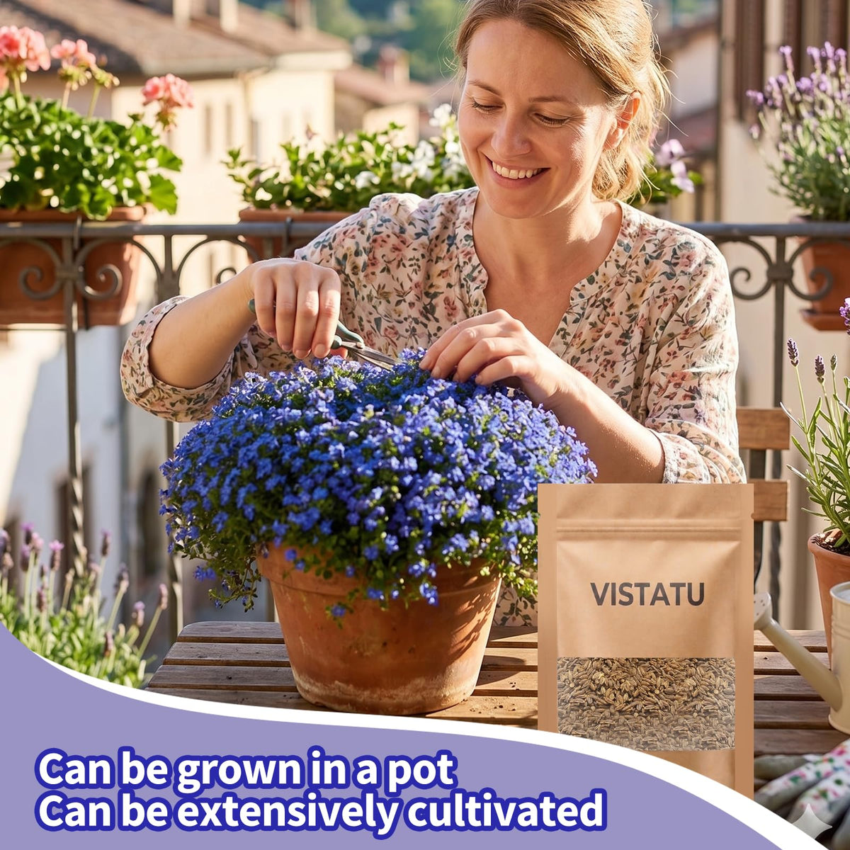 VISTATU Creeping Thyme ground cover shows a versatile, low-maintenance garden option.