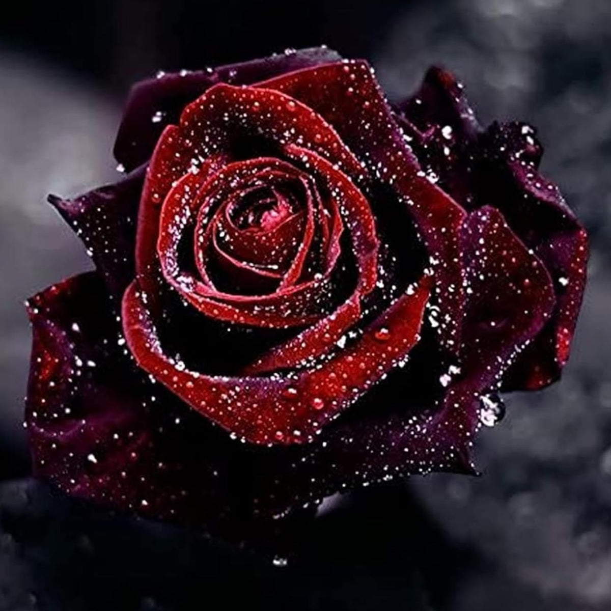 VISTATU rose seed germination close-up shows easy-start potential for lush blossoms