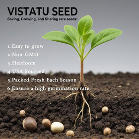 VISTATU USA-made bamboo seeds for quality garden starters.