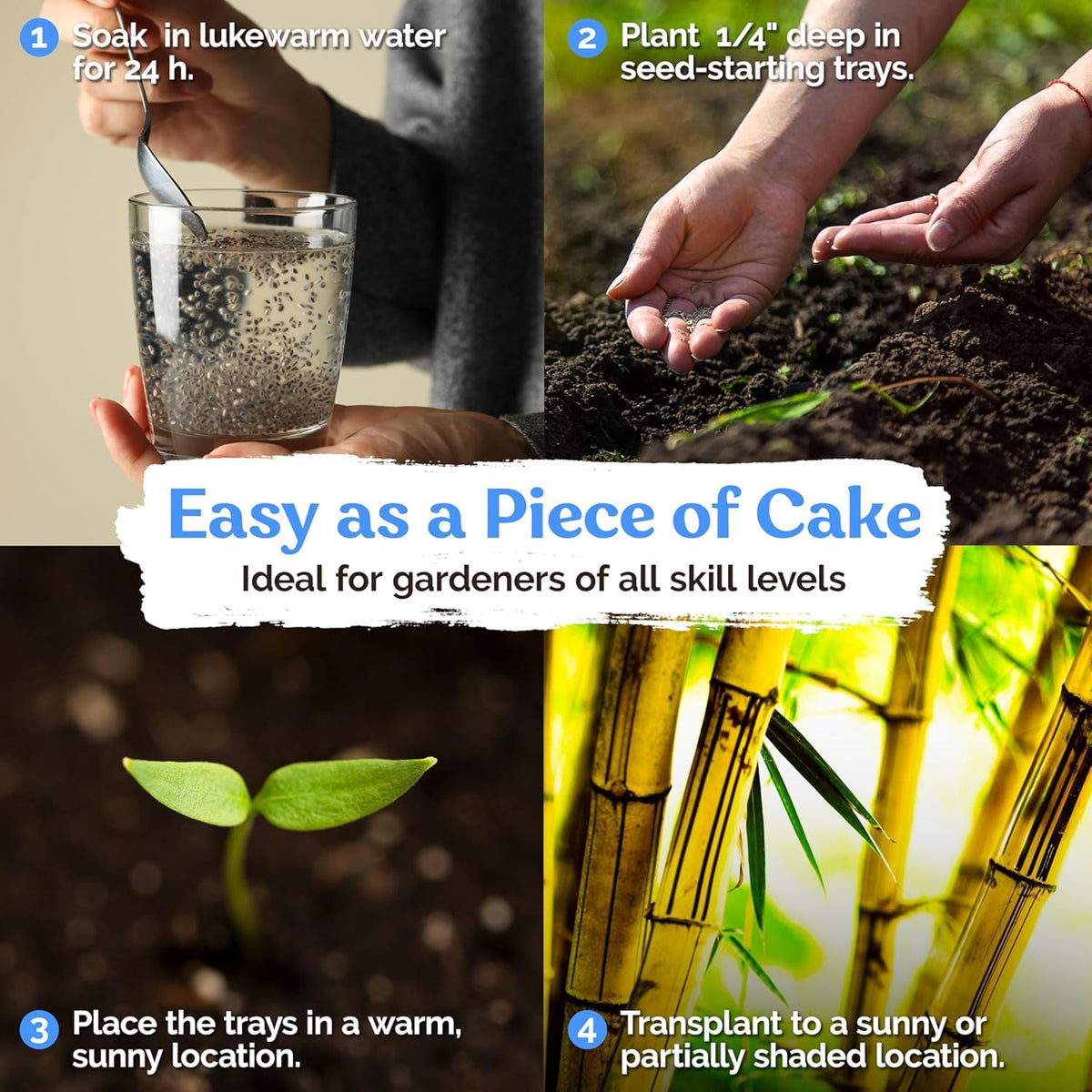 VISTATU USA-made bamboo seeds for home gardening projects and family spaces.