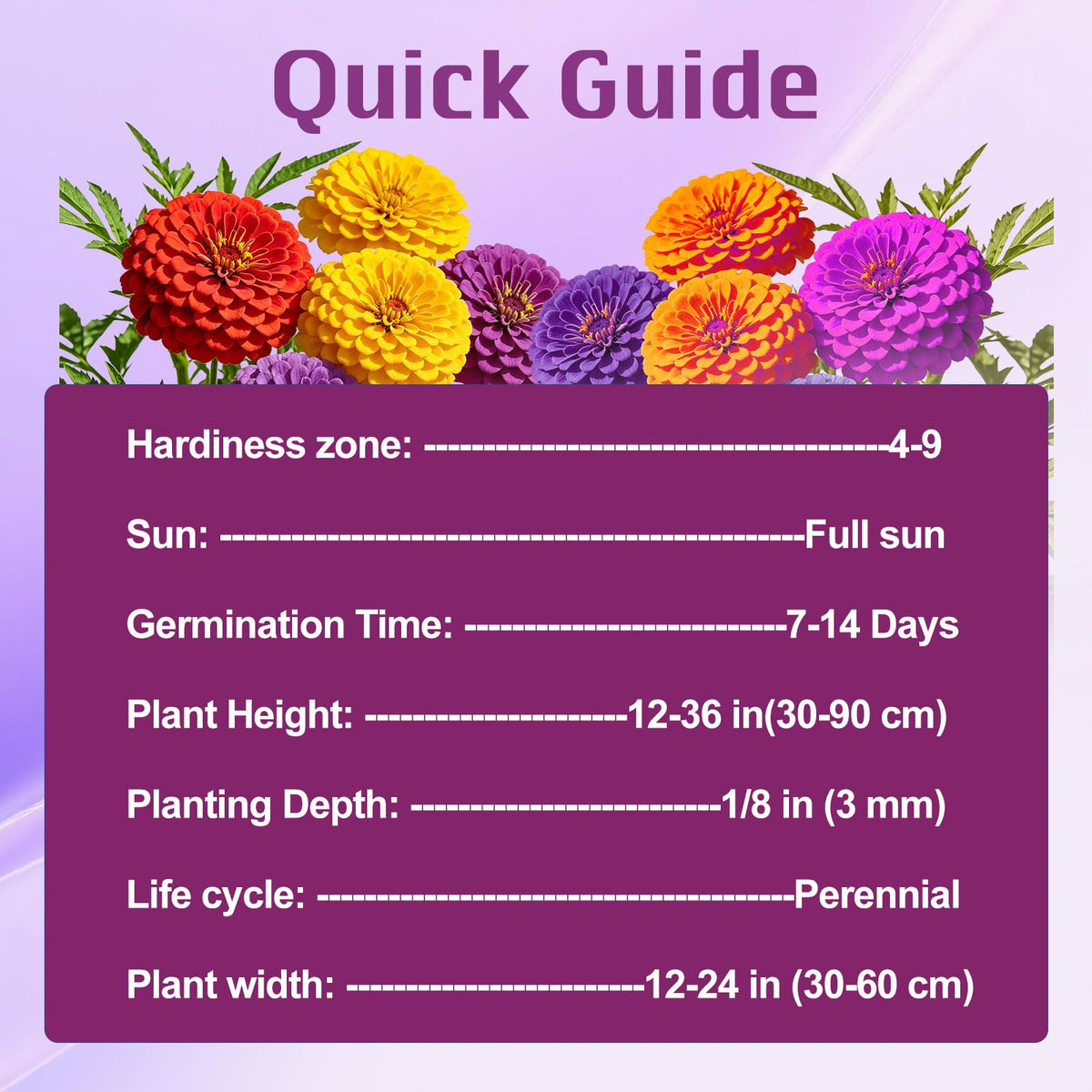 VISTATU zinnia blooms measure about 1.25 inches, offering cheerful color.