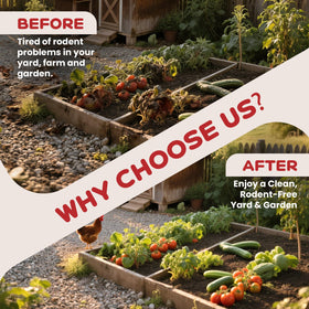 VistaZync indoor and outdoor use shown for versatile placement.