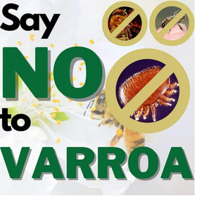 Bee colony health potential with safe, directed Apiguard use.