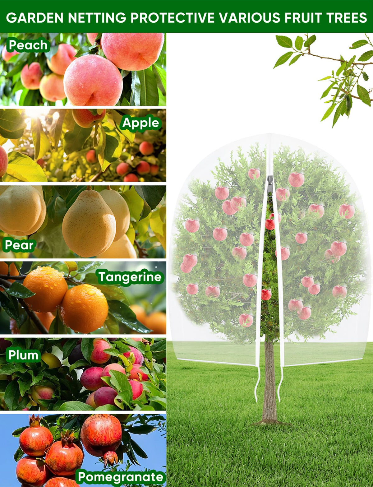 VITI netting draped over a tree provides 360-degree pest protection with airflow.