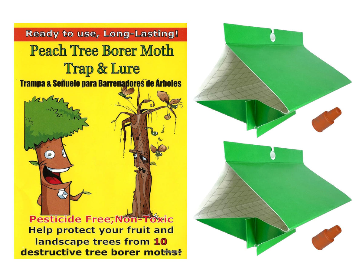 VivaGrow Peach Tree Borer Trap 2 Pack protects orchards and is easy to dispose.