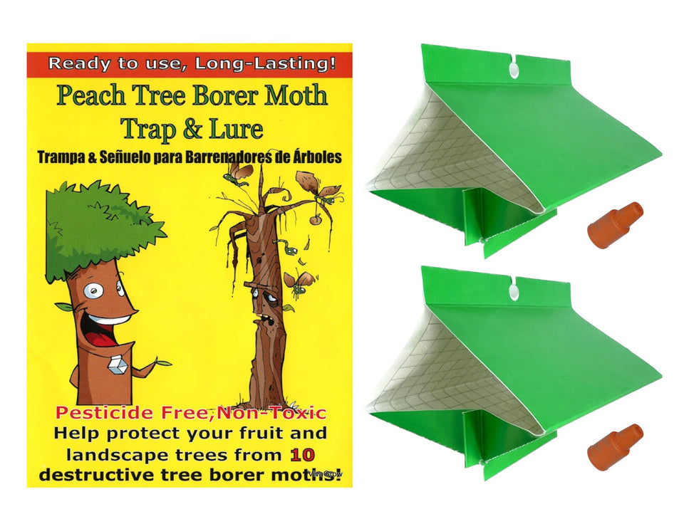 VivaGrow Peach Tree Borer Trap 2 Pack protects orchards and is easy to dispose.