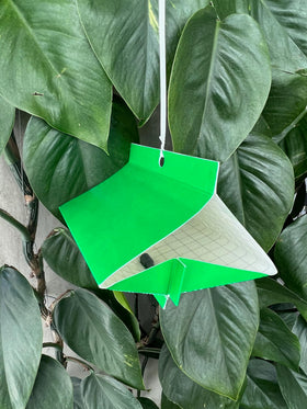 VivaGrow VivaTrap VT-102 8-week lifespan provides extended protection.