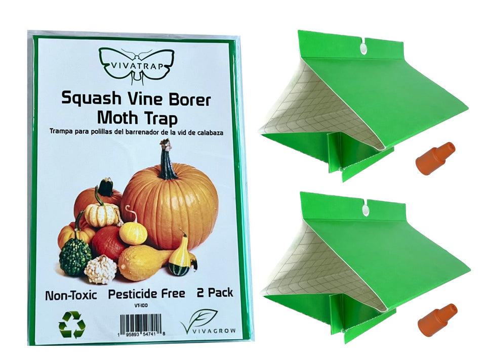 VivaGrow VivaTrap VT-100 box and trap protect squash plants in home gardens.