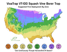 VivaGrow VT-100 pheromone lure targets squash vine borers for precise control.