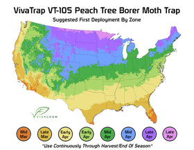 VivaGrow VT-105 pheromone lure attracting clearwing moths