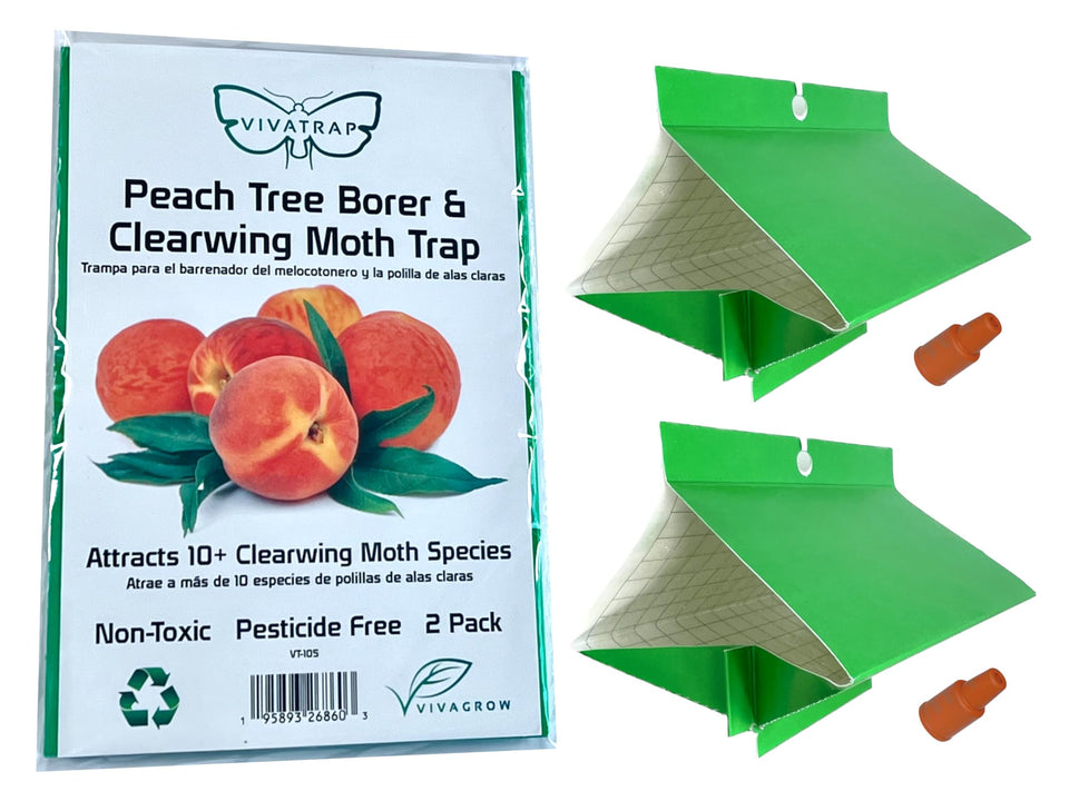 VivaGrow VivaTrap VT-105 trap set in orchard ready for deployment