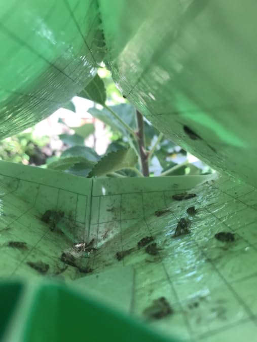 VivaGrow long-life lures provide season-long protection for fruit trees.