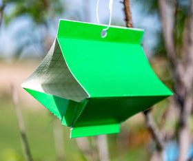 VivaGrow hanging ties simplify trap installation on trees.