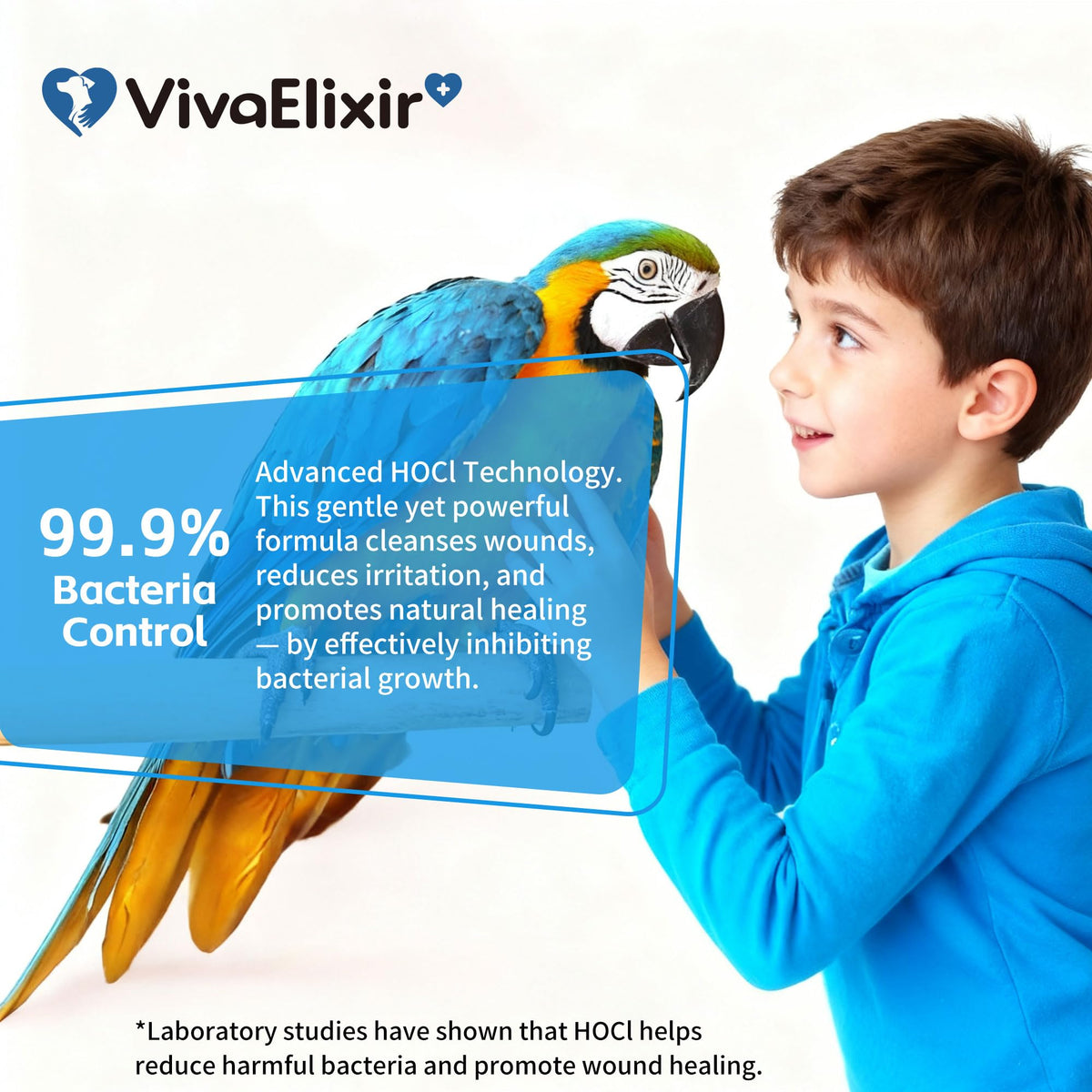VivaElixir chicken wound spray in coop scene for daily flock care