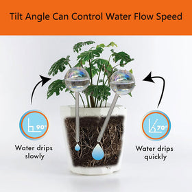 Vividaire indoor and outdoor watering globes shown in a plant setup