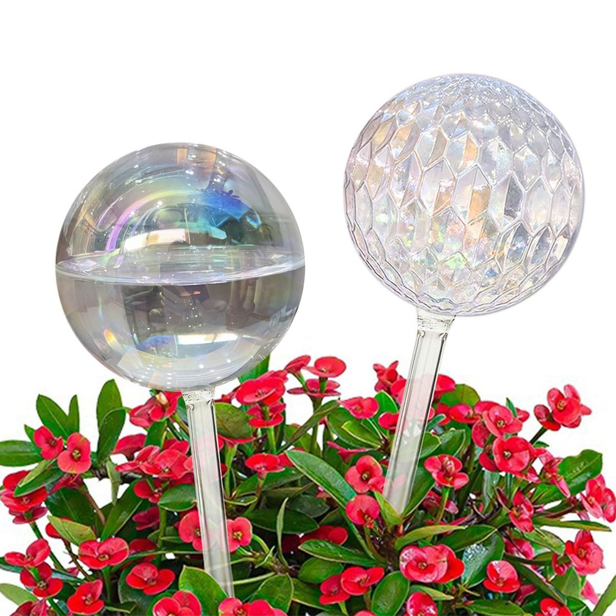 Vividaire iridescent 17oz glass watering globe hydrates indoor plants automatically