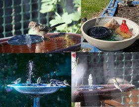 VIVII birdbath fountain attracts hummingbirds while conserving energy.