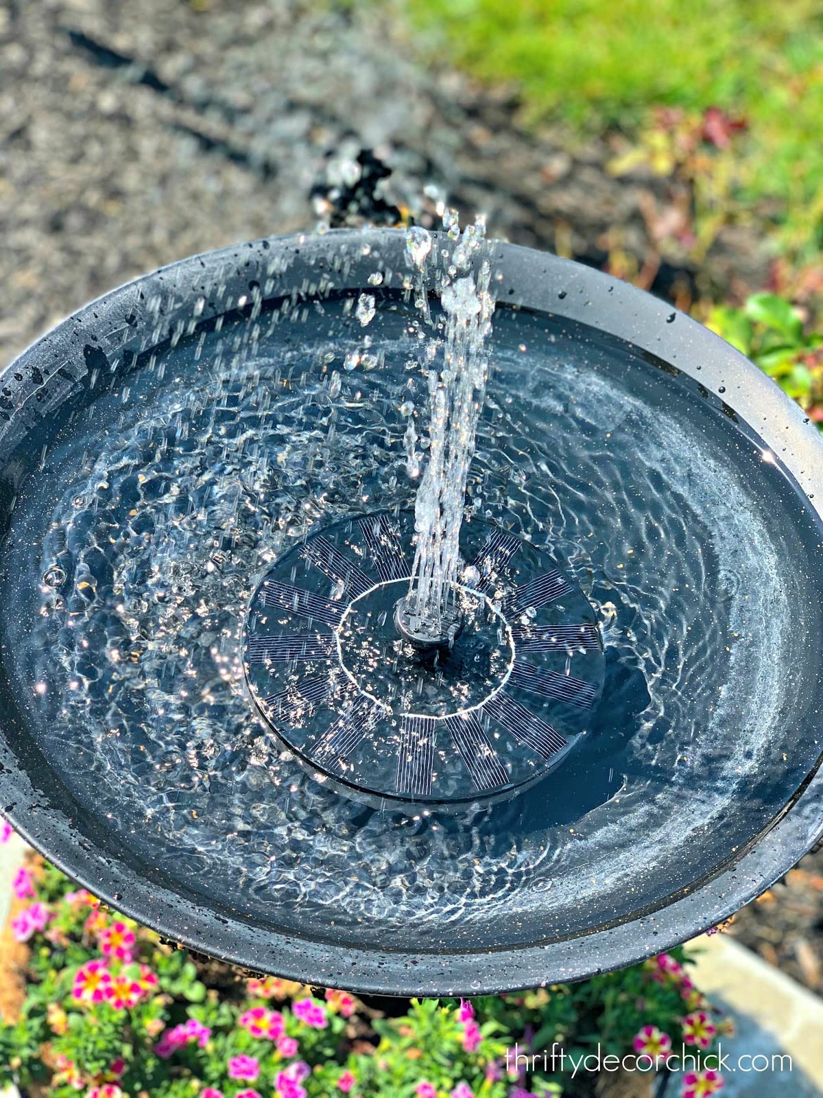 VIVII four-nozzle spray patterns offer versatile fountain displays.